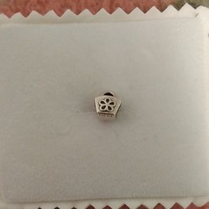Pandora purse charm
